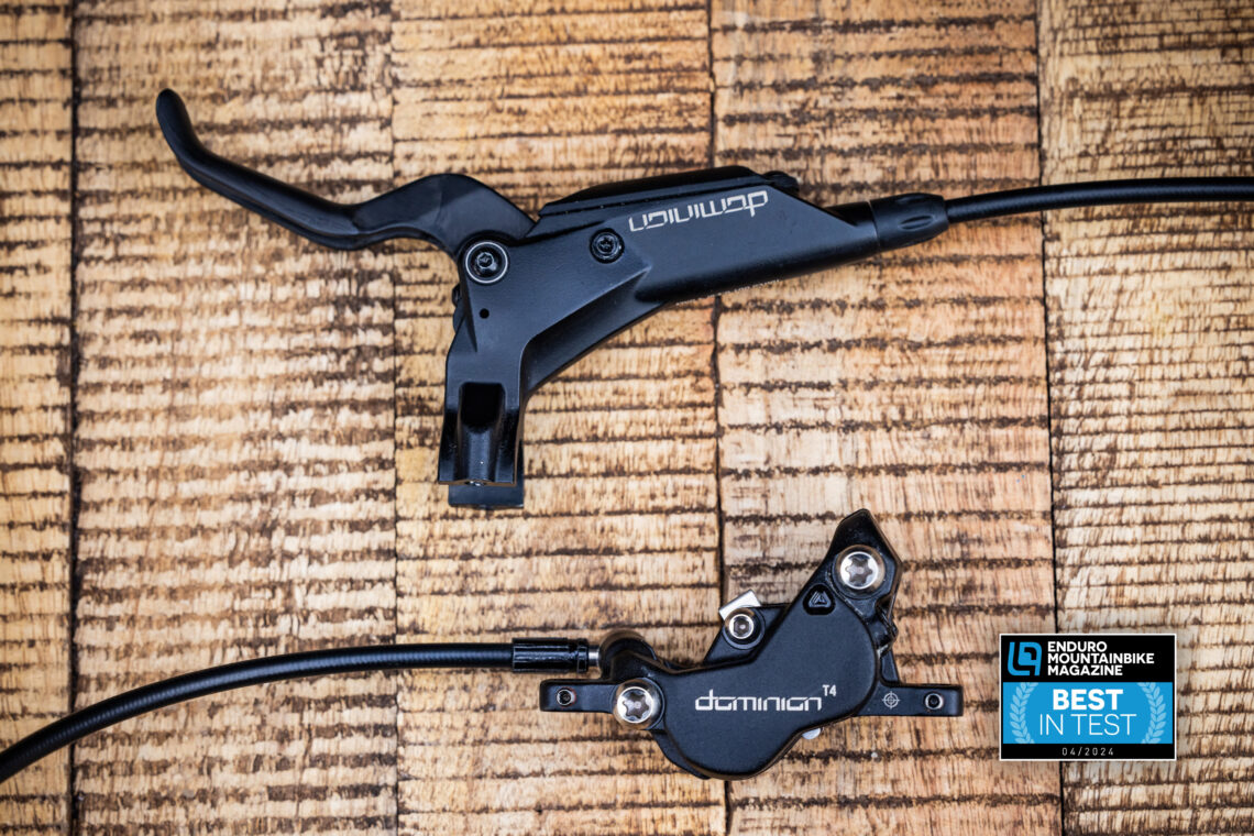 Гальма Hayes Dominion T4