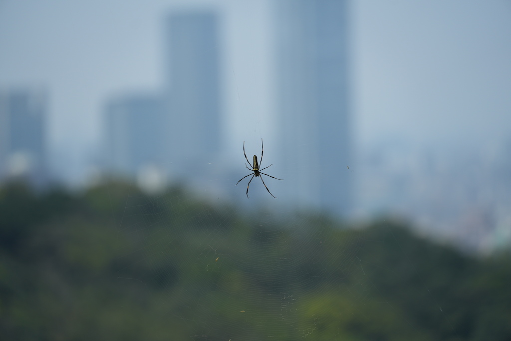Taipei Cycle Show 2026